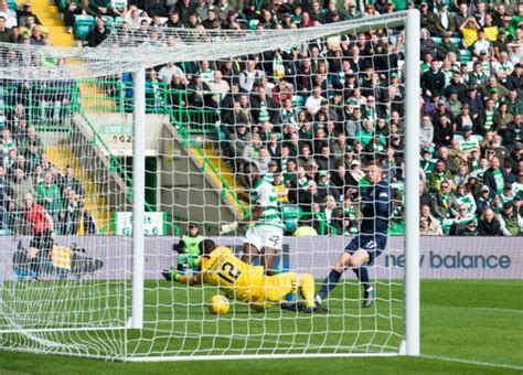 paradise windfall results|Fergus back for Paradise Windfall as Celtic make it six .